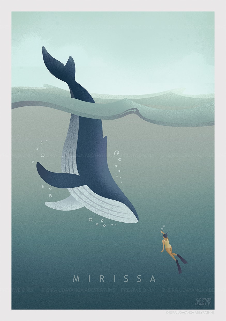 Mirissa whale poster artwork